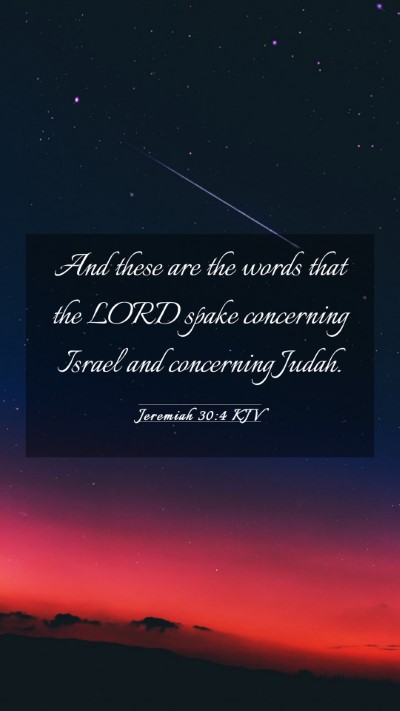 Picture 03 - Jeremiah 30:4 KJV Mobile Phone Wallpaper - And these are the words that the LORD spake - Mobile Bible Verse Wallpaper