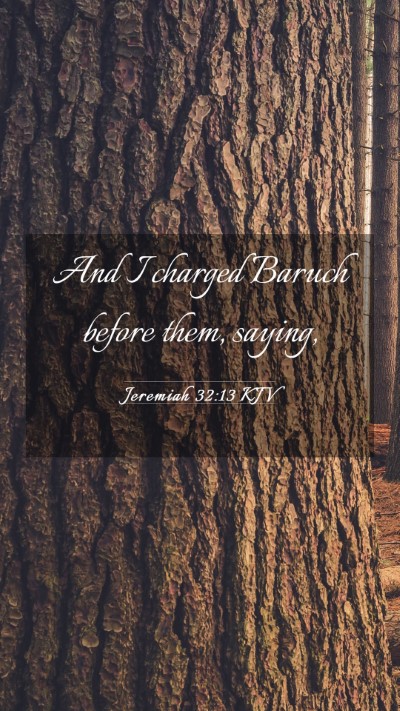 Picture 03 - Jeremiah 32:13 KJV Mobile Phone Wallpaper - And I charged Baruch before them, - Mobile Bible Verse Wallpaper