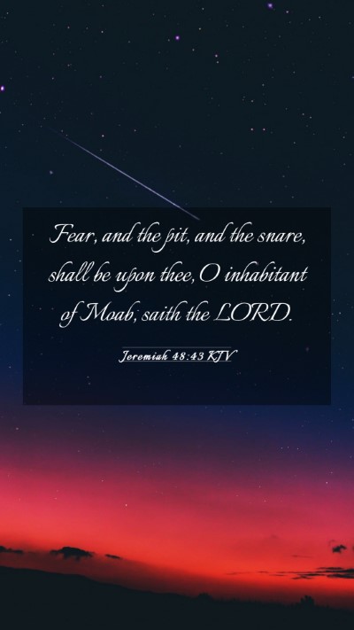 Picture 03 - Jeremiah 48:43 KJV Mobile Phone Wallpaper - Fear, and the pit, and the snare, shall be upon - Mobile Bible Verse Wallpaper