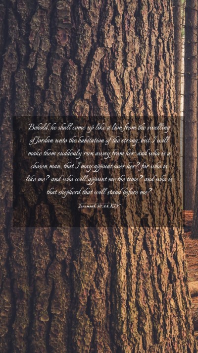 Picture 03 - Jeremiah 50:44 KJV Mobile Phone Wallpaper - Behold, he shall come up like a lion from the - Mobile Bible Verse Wallpaper