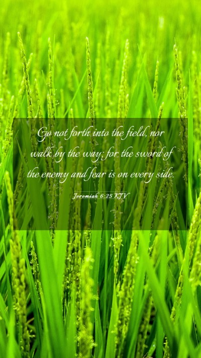 Picture 03 - Jeremiah 6:25 KJV Mobile Phone Wallpaper - Go not forth into the field, nor walk by the way; - Mobile Bible Verse Wallpaper