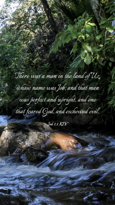 Picture 03 - Job 1:1 KJV Mobile Phone Wallpaper - There was a man in the land of Uz, whose name was - Mobile Bible Verse Wallpaper