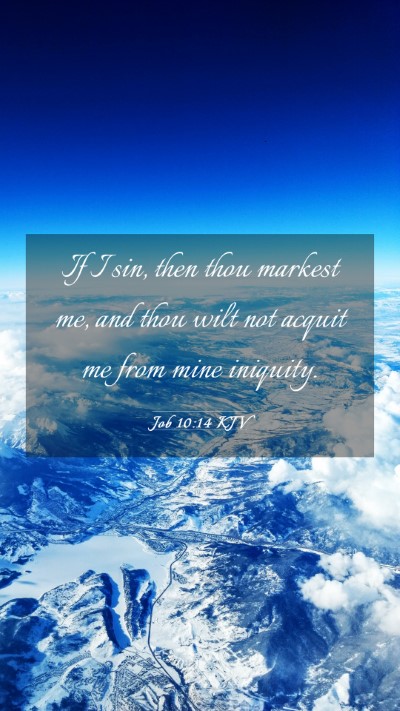 Picture 03 - Job 10:14 KJV Mobile Phone Wallpaper - If I sin, then thou markest me, and thou wilt not - Mobile Bible Verse Wallpaper
