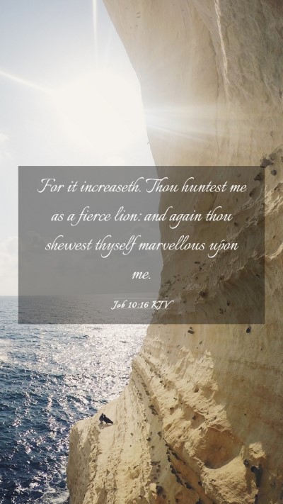 Picture 03 - Job 10:16 KJV Mobile Phone Wallpaper - For it increaseth. Thou huntest me as a fierce - Mobile Bible Verse Wallpaper