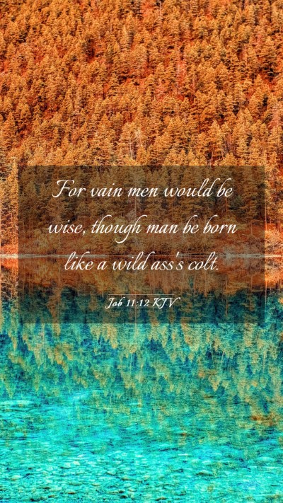 Picture 03 - Job 11:12 KJV Mobile Phone Wallpaper - For vain men would be wise, though man be born - Mobile Bible Verse Wallpaper