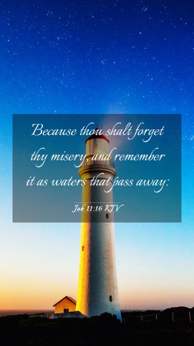 Picture 03 - Job 11:16 KJV Mobile Phone Wallpaper - Because thou shalt forget thy misery, and - Mobile Bible Verse Wallpaper
