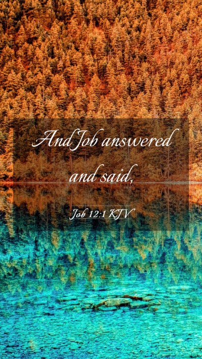 Picture 03 - Job 12:1 KJV Mobile Phone Wallpaper - And Job answered and - Mobile Bible Verse Wallpaper