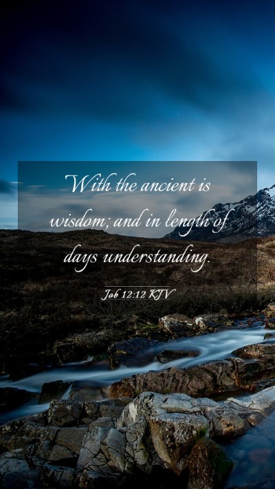 Picture 03 - Job 12:12 KJV Mobile Phone Wallpaper - With the ancient is wisdom; and in length of days - Mobile Bible Verse Wallpaper