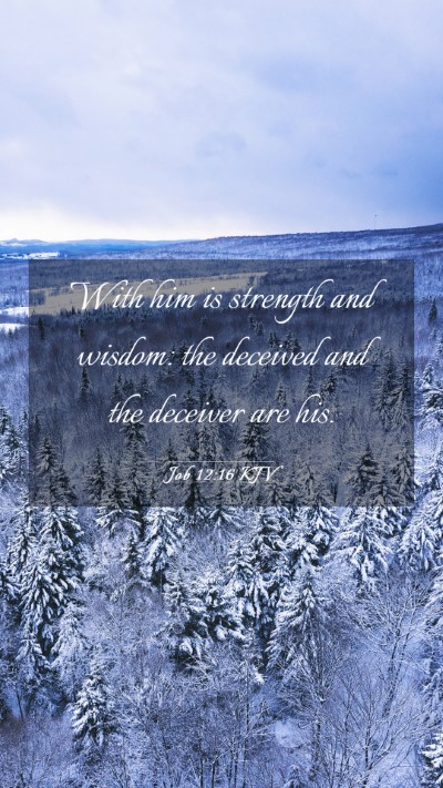 Picture 03 - Job 12:16 KJV Mobile Phone Wallpaper - With him is strength and wisdom: the deceived and - Mobile Bible Verse Wallpaper