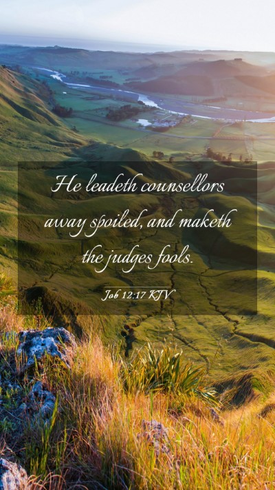 Picture 03 - Job 12:17 KJV Mobile Phone Wallpaper - He leadeth counsellors away spoiled, and maketh - Mobile Bible Verse Wallpaper