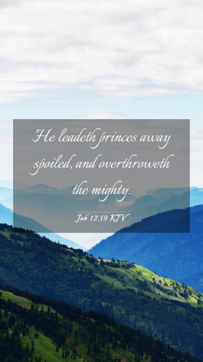 Picture 03 - Job 12:19 KJV Mobile Phone Wallpaper - He leadeth princes away spoiled, and overthroweth - Mobile Bible Verse Wallpaper