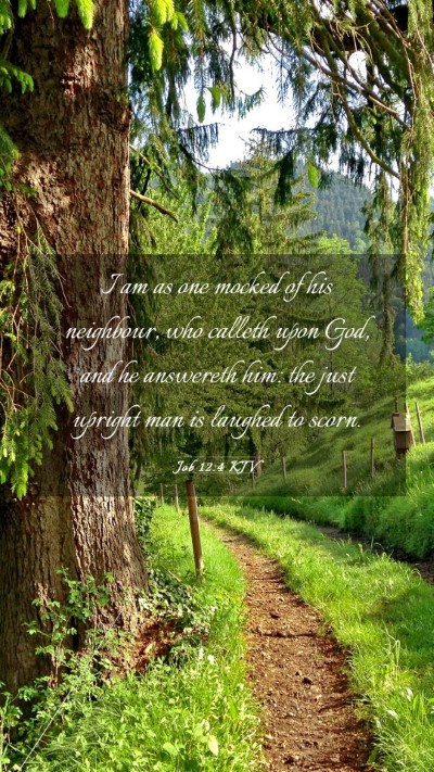 Picture 03 - Job 12:4 KJV Mobile Phone Wallpaper - I am as one mocked of his neighbour, who calleth - Mobile Bible Verse Wallpaper