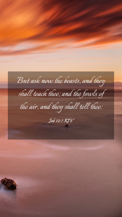 Picture 03 - Job 12:7 KJV Mobile Phone Wallpaper - But ask now the beasts, and they shall teach - Mobile Bible Verse Wallpaper