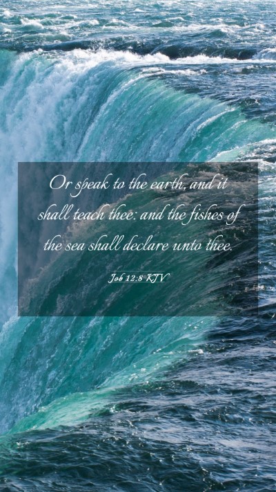 Picture 03 - Job 12:8 KJV Mobile Phone Wallpaper - Or speak to the earth, and it shall teach thee: - Mobile Bible Verse Wallpaper