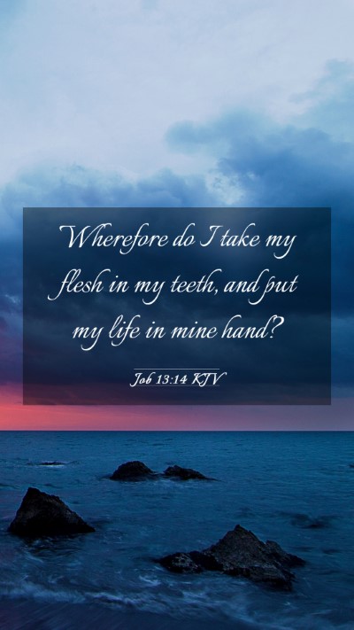 Picture 03 - Job 13:14 KJV Mobile Phone Wallpaper - Wherefore do I take my flesh in my teeth, and put - Mobile Bible Verse Wallpaper