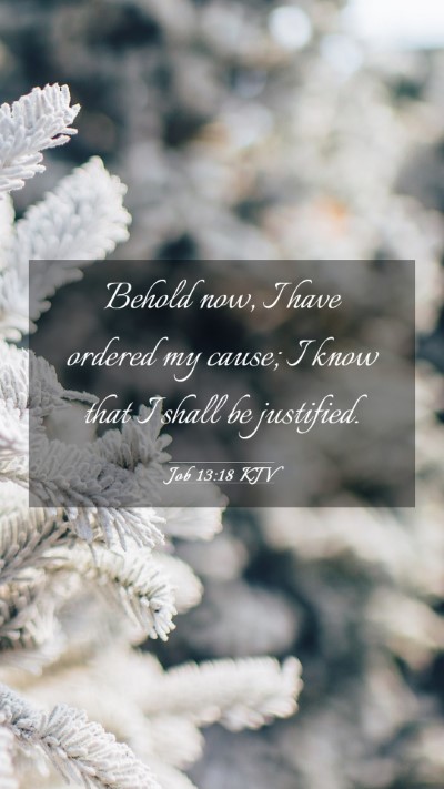 Picture 03 - Job 13:18 KJV Mobile Phone Wallpaper - Behold now, I have ordered my cause; I know that - Mobile Bible Verse Wallpaper