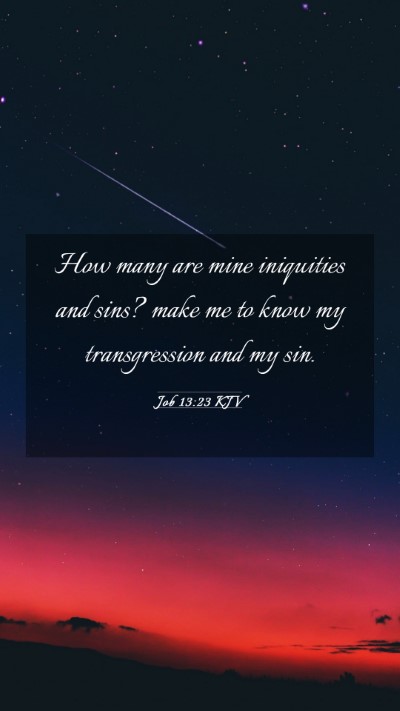Picture 03 - Job 13:23 KJV Mobile Phone Wallpaper - How many are mine iniquities and sins? make me to - Mobile Bible Verse Wallpaper