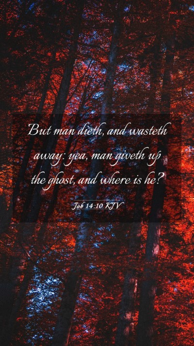Picture 03 - Job 14:10 KJV Mobile Phone Wallpaper - But man dieth, and wasteth away: yea, man giveth - Mobile Bible Verse Wallpaper