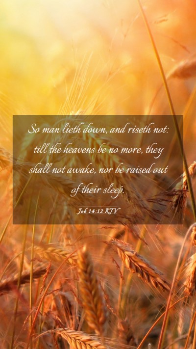 Picture 03 - Job 14:12 KJV Mobile Phone Wallpaper - So man lieth down, and riseth not: till the - Mobile Bible Verse Wallpaper
