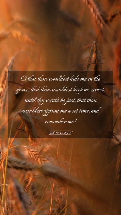 Picture 03 - Job 14:13 KJV Mobile Phone Wallpaper - O that thou wouldest hide me in the grave, that - Mobile Bible Verse Wallpaper