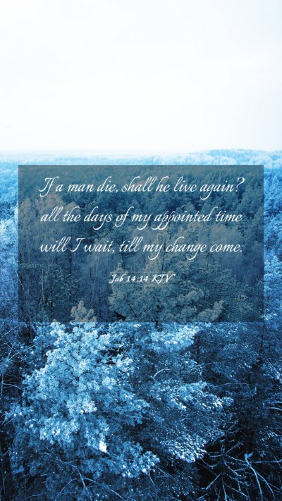 Picture 03 - Job 14:14 KJV Mobile Phone Wallpaper - If a man die, shall he live again? all the days - Mobile Bible Verse Wallpaper