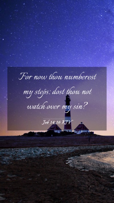 Picture 03 - Job 14:16 KJV Mobile Phone Wallpaper - For now thou numberest my steps: dost thou not - Mobile Bible Verse Wallpaper