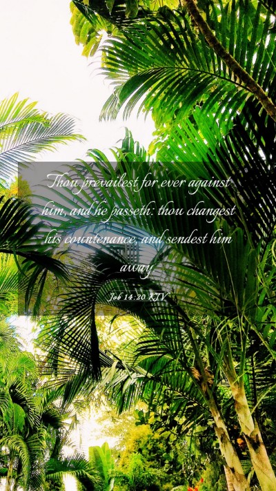 Picture 03 - Job 14:20 KJV Mobile Phone Wallpaper - Thou prevailest for ever against him, and he - Mobile Bible Verse Wallpaper