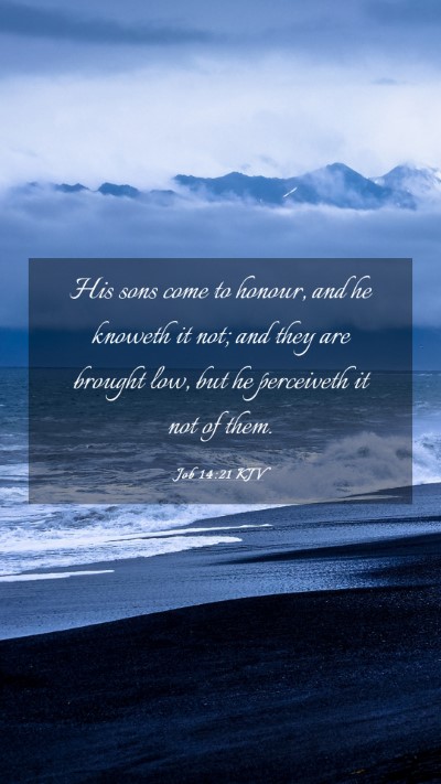 Picture 03 - Job 14:21 KJV Mobile Phone Wallpaper - His sons come to honour, and he knoweth it not; - Mobile Bible Verse Wallpaper