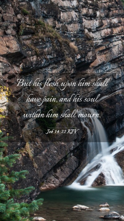 Picture 03 - Job 14:22 KJV Mobile Phone Wallpaper - But his flesh upon him shall have pain, and his - Mobile Bible Verse Wallpaper