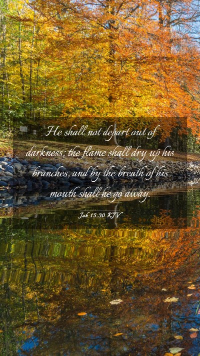 Picture 03 - Job 15:30 KJV Mobile Phone Wallpaper - He shall not depart out of darkness; the flame - Mobile Bible Verse Wallpaper