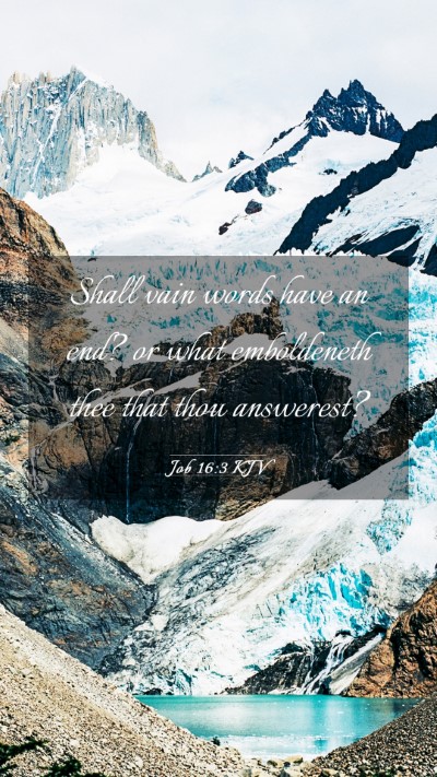 Picture 03 - Job 16:3 KJV Mobile Phone Wallpaper - Shall vain words have an end? or what emboldeneth - Mobile Bible Verse Wallpaper