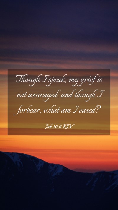 Picture 03 - Job 16:6 KJV Mobile Phone Wallpaper - Though I speak, my grief is not asswaged: and - Mobile Bible Verse Wallpaper