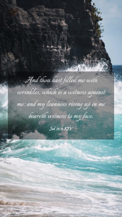 Picture 03 - Job 16:8 KJV Mobile Phone Wallpaper - And thou hast filled me with wrinkles, which is a - Mobile Bible Verse Wallpaper