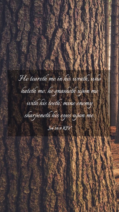 Picture 03 - Job 16:9 KJV Mobile Phone Wallpaper - He teareth me in his wrath, who hateth me: he - Mobile Bible Verse Wallpaper