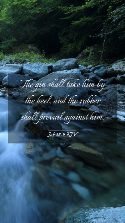 Picture 03 - Job 18:9 KJV Mobile Phone Wallpaper - The gin shall take him by the heel, and the - Mobile Bible Verse Wallpaper