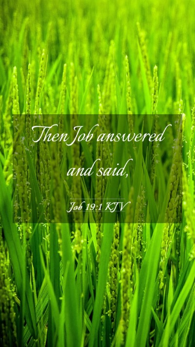 Picture 03 - Job 19:1 KJV Mobile Phone Wallpaper - Then Job answered and - Mobile Bible Verse Wallpaper