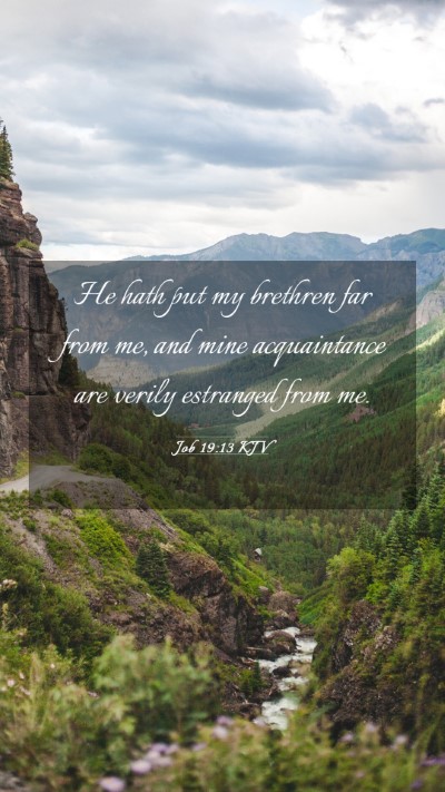 Picture 03 - Job 19:13 KJV Mobile Phone Wallpaper - He hath put my brethren far from me, and mine - Mobile Bible Verse Wallpaper
