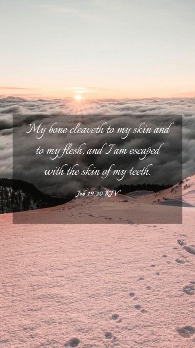 Picture 03 - Job 19:20 KJV Mobile Phone Wallpaper - My bone cleaveth to my skin and to my flesh, and - Mobile Bible Verse Wallpaper