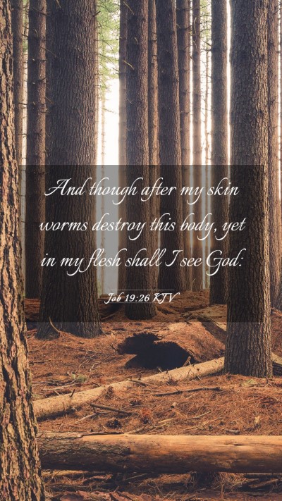 Picture 03 - Job 19:26 KJV Mobile Phone Wallpaper - And though after my skin worms destroy this body, - Mobile Bible Verse Wallpaper