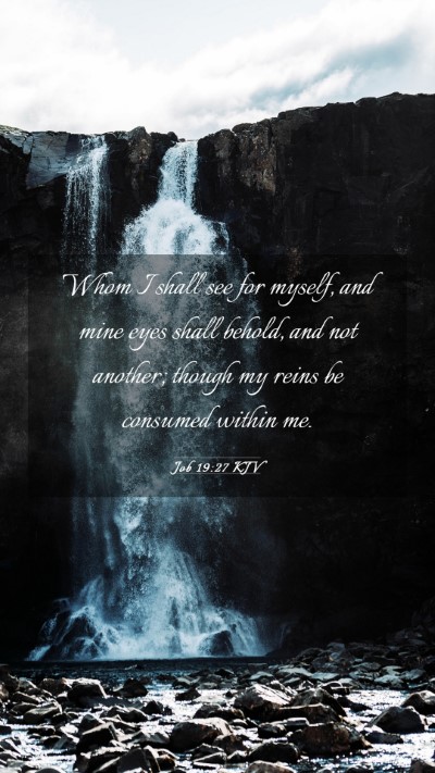 Picture 03 - Job 19:27 KJV Mobile Phone Wallpaper - Whom I shall see for myself, and mine eyes shall - Mobile Bible Verse Wallpaper