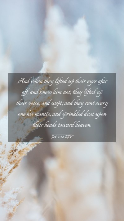 Picture 03 - Job 2:12 KJV Mobile Phone Wallpaper - And when they lifted up their eyes afar off, and - Mobile Bible Verse Wallpaper