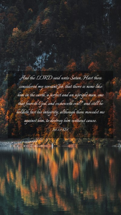 Picture 03 - Job 2:3 KJV Mobile Phone Wallpaper - And the LORD said unto Satan, Hast thou - Mobile Bible Verse Wallpaper