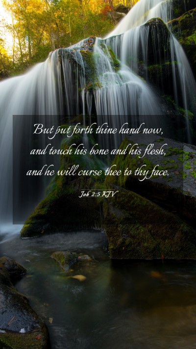 Picture 03 - Job 2:5 KJV Mobile Phone Wallpaper - But put forth thine hand now, and touch his bone - Mobile Bible Verse Wallpaper