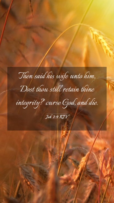 Picture 03 - Job 2:9 KJV Mobile Phone Wallpaper - Then said his wife unto him, Dost thou still - Mobile Bible Verse Wallpaper