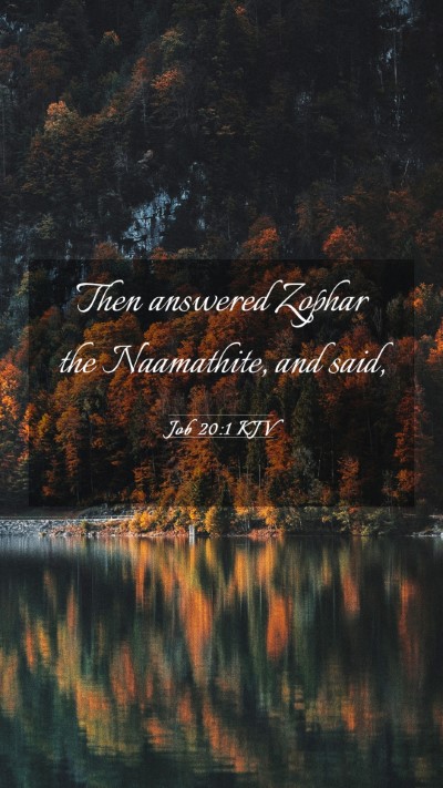 Picture 03 - Job 20:1 KJV Mobile Phone Wallpaper - Then answered Zophar the Naamathite, and - Mobile Bible Verse Wallpaper