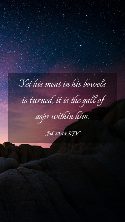 Picture 03 - Job 20:14 KJV Mobile Phone Wallpaper - Yet his meat in his bowels is turned, it is the - Mobile Bible Verse Wallpaper
