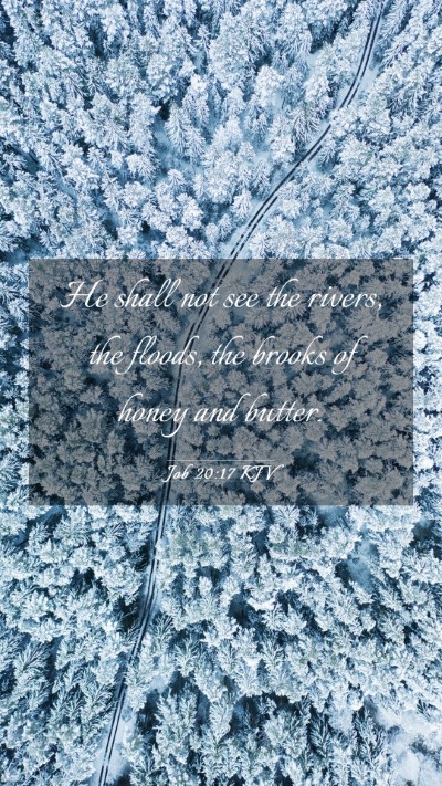 Picture 03 - Job 20:17 KJV Mobile Phone Wallpaper - He shall not see the rivers, the floods, the - Mobile Bible Verse Wallpaper