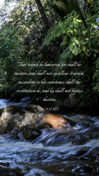 Picture 03 - Job 20:18 KJV Mobile Phone Wallpaper - That which he laboured for shall he restore, and - Mobile Bible Verse Wallpaper