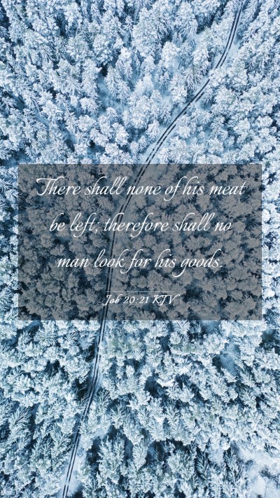 Picture 03 - Job 20:21 KJV Mobile Phone Wallpaper - There shall none of his meat be left; therefore - Mobile Bible Verse Wallpaper