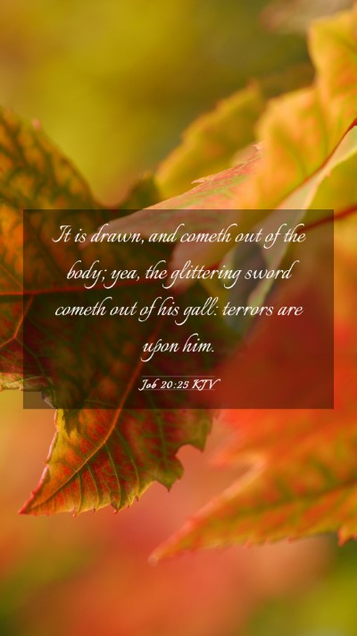 Picture 03 - Job 20:25 KJV Mobile Phone Wallpaper - It is drawn, and cometh out of the body; yea, the - Mobile Bible Verse Wallpaper
